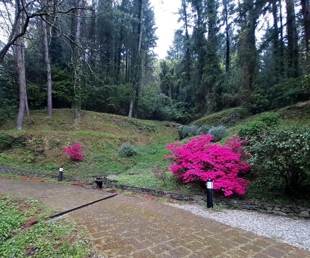 Il Bosco Di Campo Marzano Garden Apartments Borzonasca Exterior foto