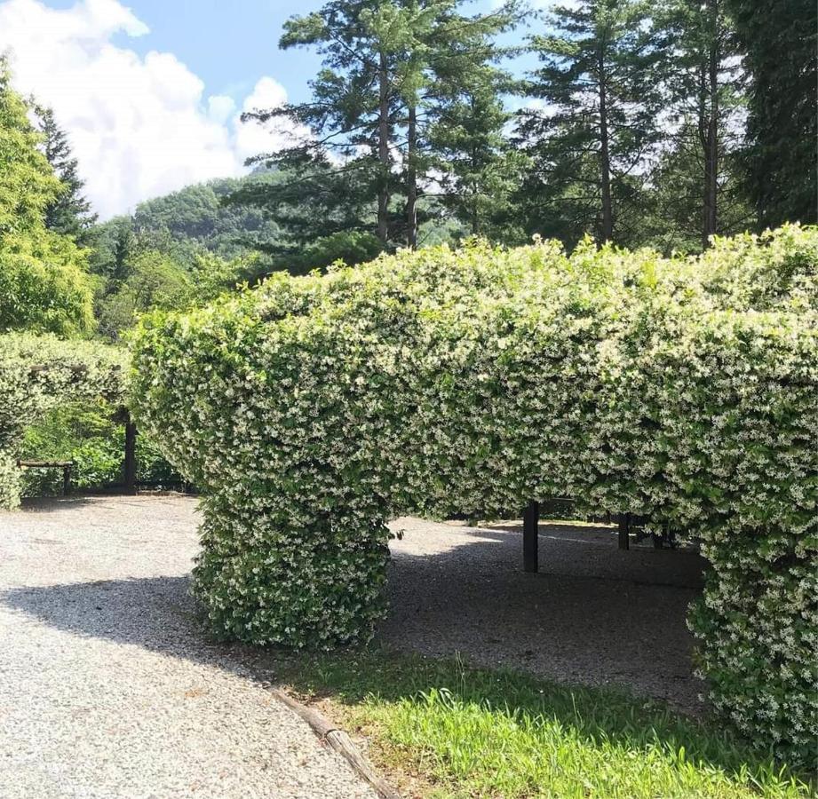 Il Bosco Di Campo Marzano Garden Apartments Borzonasca Exterior foto