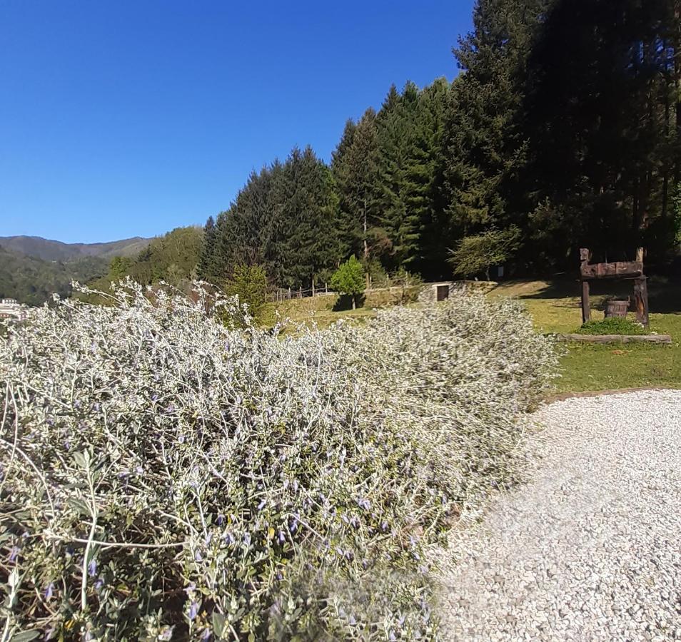 Il Bosco Di Campo Marzano Garden Apartments Borzonasca Exterior foto