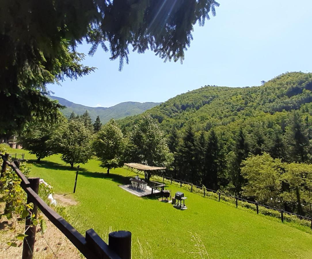Il Bosco Di Campo Marzano Garden Apartments Borzonasca Exterior foto