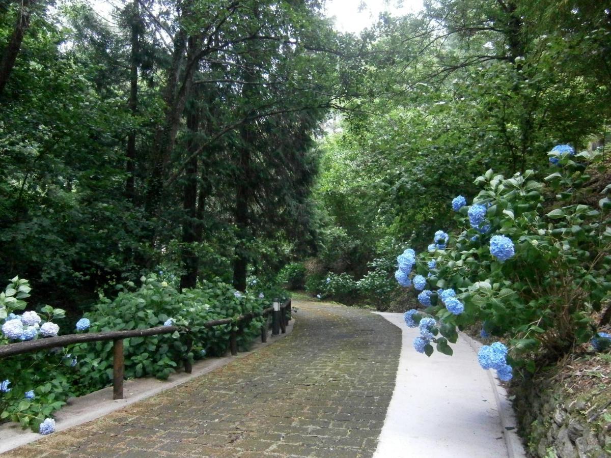 Il Bosco Di Campo Marzano Garden Apartments Borzonasca Exterior foto
